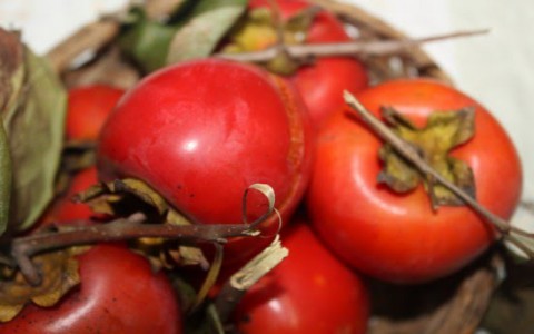Những món ăn báo hiệu mùa thu về